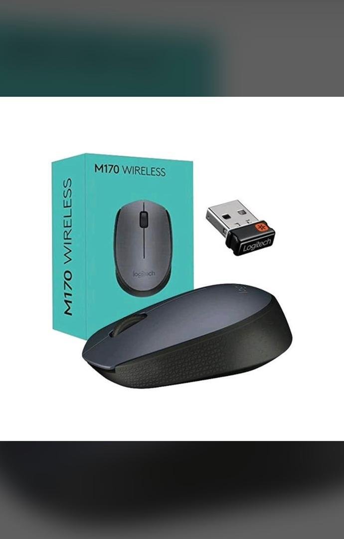 Souris Logitech M170